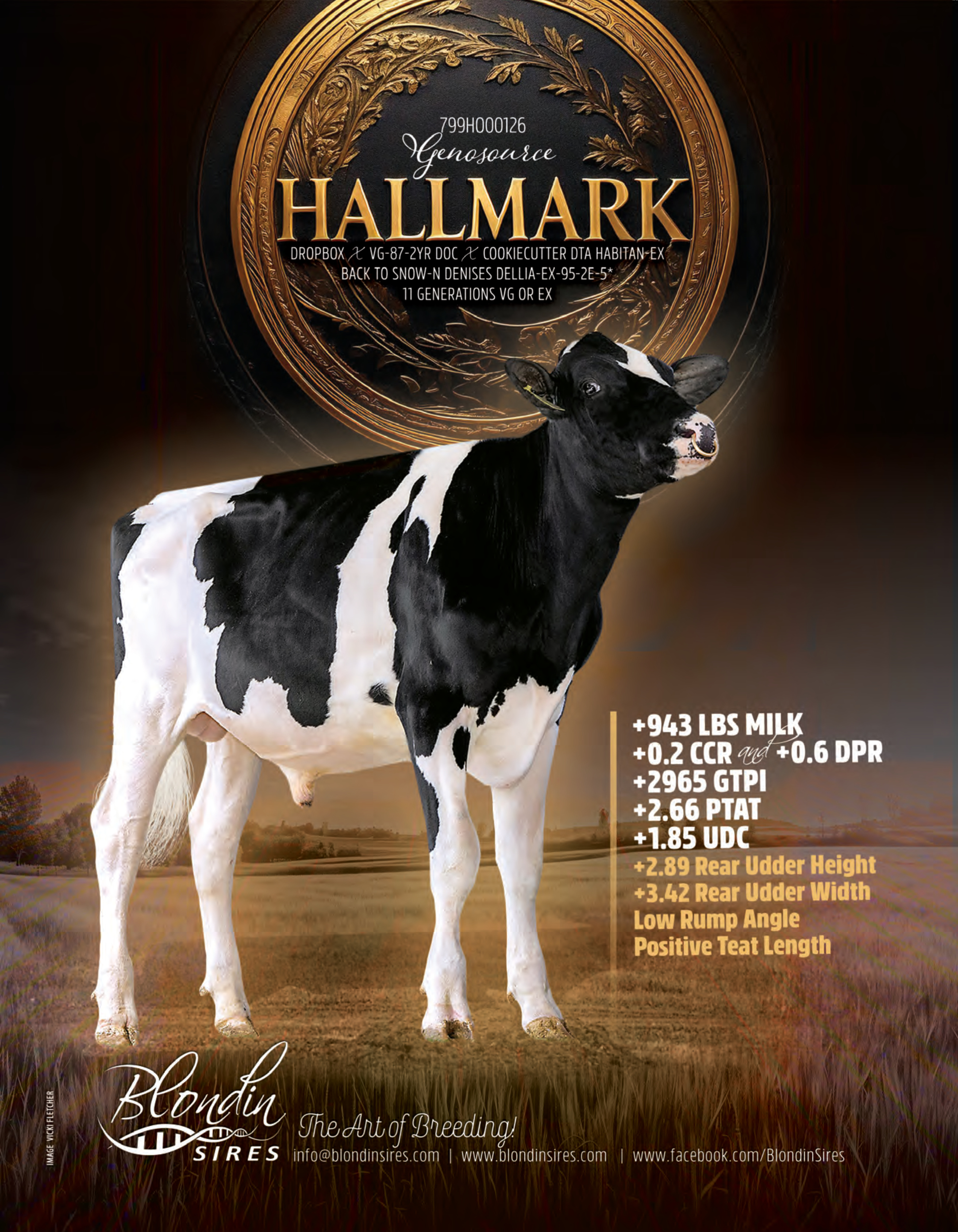 HALLMARK — 799HO00126